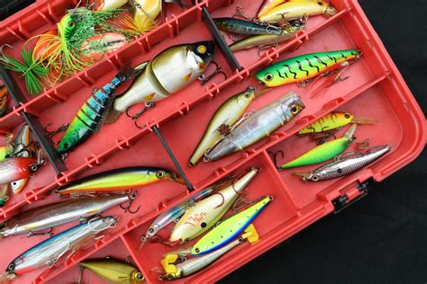 common types  fishing lures