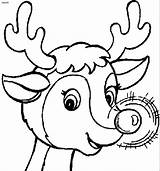 Rudolph Coloring Reindeer Pages Santa Clipart Nosed Red Christmas Deer Outline Claus Kids Clip Color Print Cliparts Colouring Sheets Printable sketch template