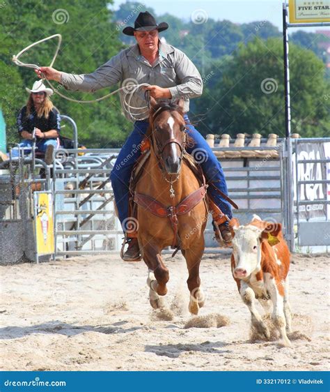 cowboy   calf roping competition editorial photography image