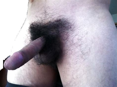 My Hairy Penis Before Shave It 3 Pics Xhamster