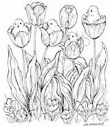 Coloring Pages Stamps Northwoods Rubber Mounted Wood Choose Board Tulips Chicks Ausmalbilder Easter sketch template