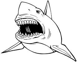 image result  shark hat craft template shark coloring pages shark