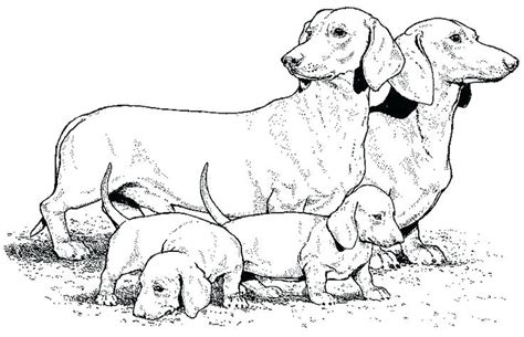 coloring page  wiener dogs