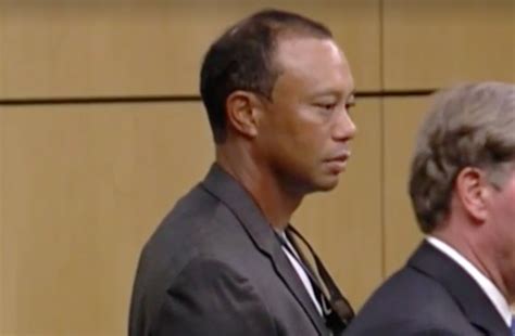 tiger woods pleads guilty to reckless driving avoids jail law and crime