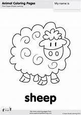 Coloring Sheep Super Simple Pages Farm Animals Old Macdonald Animal Songs Supersimple Choose Board sketch template
