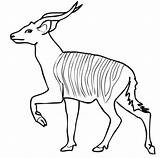 Antelope Bongo Bongos Grassland Supercoloring Kudu Caticorn Antílope Worksheetpedia Clipartmag Africano sketch template