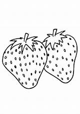 Coloring Pages Strawberry Two sketch template