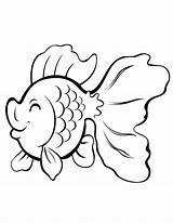 Fish Colour Popular Coloring sketch template