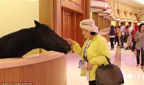 heilan horse culture museum worlds  luxurious stable daily mail