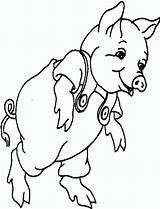 Varken Kleurplaten Mewarnai Babi Schwein Porc Cerdo Maiali Animasi Schweine Bergerak Animierte Ausmalbild Animaatjes Peppa Halaman Maiale Triazs 1912 Animate sketch template