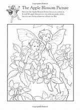 Fairies Barker Cicely sketch template