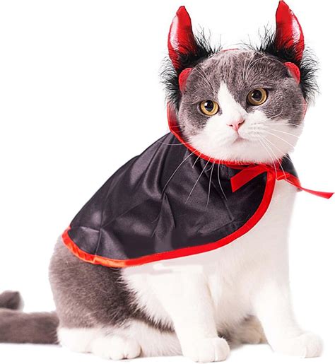 halloween costumes   cat  year