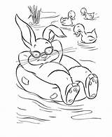 Easter Bunny Coloring Pages Ducks Cottontail Peter Printable Oregon Cool Duck Sheets Goldfish Print Bunnies Funny Library Activity Clipart Popular sketch template
