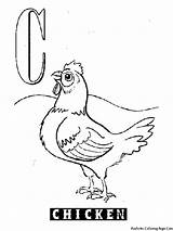 Coloring Pages Chicken Drawing Realistic Alphabet Letter Choose Board Getdrawings Animal sketch template