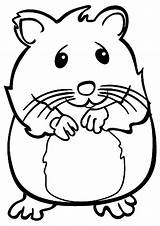 Coloring Pages Hamster Color sketch template