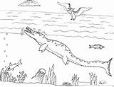 Coloring Liopleurodon Pages Tylosaurus Fluke Tail Template Robin Great sketch template