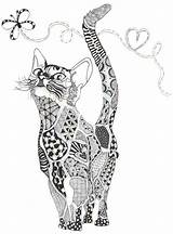 Ausmalbilder Katzen Erwachsene Mandala Volwassenen Malen Kleurplaat Ausmalbild Katze Malvorlage Mandalas Kleurplaten Drawi Snowy Coloriage Katten Hunde Downloaden Coloringpagesforkids Schwieriges sketch template