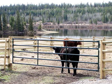 farm livestock gates hi hog