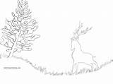 Sherpa Stag Traceable Visit Pages Trace Galaxy sketch template