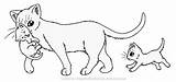Warrior Cats Kits Coloring Kit Base Carrying Lineart Wildpathofshadowclan Pages Deviantart Mates Template sketch template