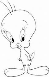 Coloring Bird Tweety Pages Little Kids Coloringpages7 Cartoon Colouring Animal Disney sketch template