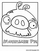 Coloring Pig Moustache Birds Angry Pages Printable sketch template