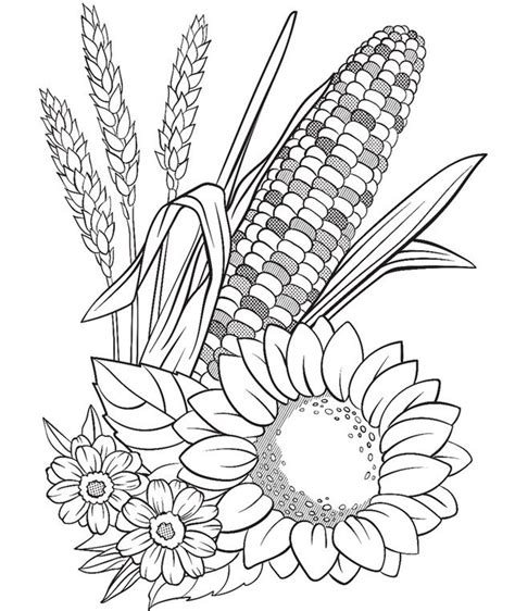 printable corn coloring page