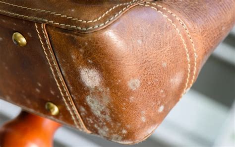 clean  leather purse  handbag  complete guide