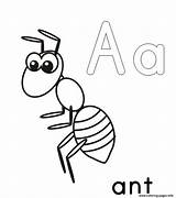 Ant Coloring Pages Printable Kids Alphabet Color Template Print Drawing Ants Man Cartoon Preschool Anthill Slender Getdrawings Clipartmag Cute Book sketch template