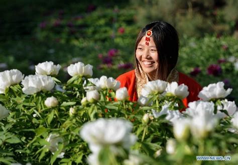 Visitors View Peony Flowers In Luoyang China S Henan
