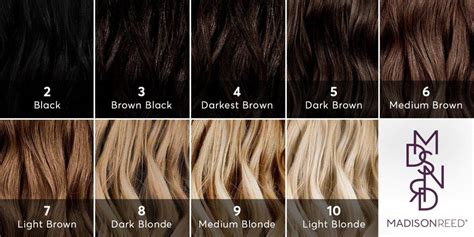 level   hair find  hair color level   guide  madison reed