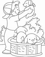 Coloring Puppy Playing Pages Boy Kids Puppies Color Bestcoloringpages Sheets Getcolorings Printable Print Little sketch template