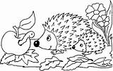 Hedgehogs Apple Coloring Two Hedgehog Igel Ausmalbilder Para Colorear Dibujos Herbst Ausmalbild sketch template