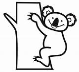 Koala Coloring Kids Pages Bear Printable sketch template