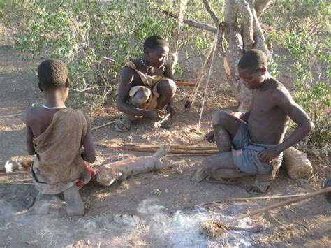 modern hunter gatherers    sedentary    ars technica