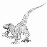 Jurassic Raptor Velociraptor sketch template