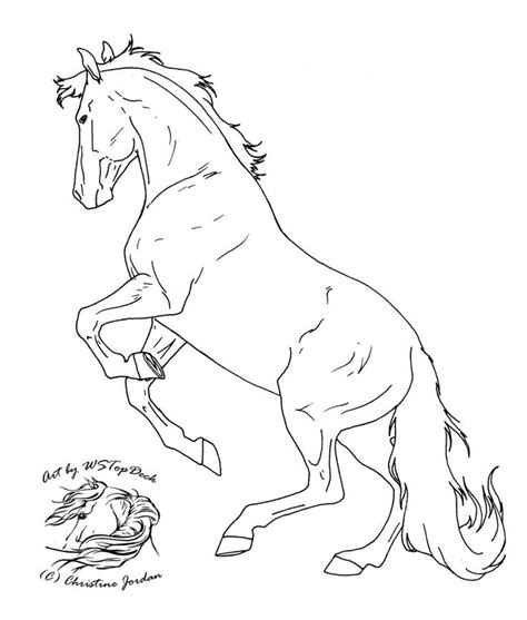 rearing lineart    wstopdeck  atdeviantart horse coloring