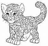Coloring Leopard Clouded Pages Print Color Getcolorings Printable sketch template