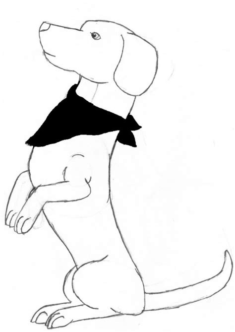sausage dog coloring page clip art library