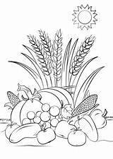 Fall Coloring Harvest Printable Categories sketch template