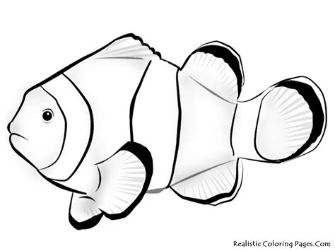 nemo fish coloring pages realistic coloring pages