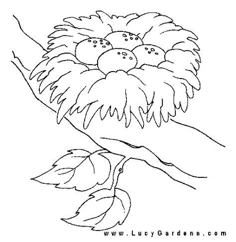 bird nest card ideas bird coloring pages egg coloring page