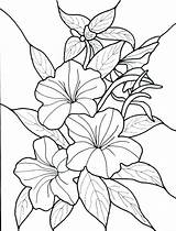Coloring Pages Plants Advanced Jungle Flower Rainforest Printable Getcolorings Color Cute Getdrawings sketch template