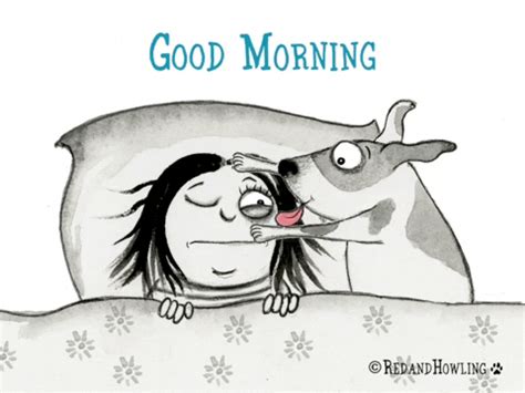tired good morning gif  red howling find share