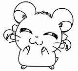 Hamtaro Kiwi Heartz Desenhos Hamster Colorir Cartoon sketch template