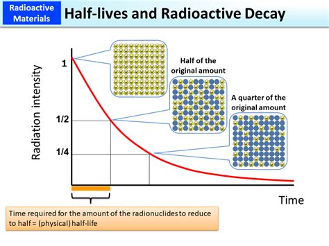 lives  radioactive decay moe