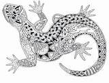 Zentangle Aboriginal Colouring Ausmalbilder Gecko Tiere Boyama Echsen Kostenlose Malvorlagen Easy Lizard Tangled Geckos Boards Estampados Shari Mandeville Salamandre Paisley sketch template