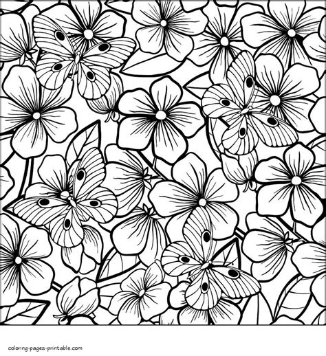 flower  butterfly coloring page