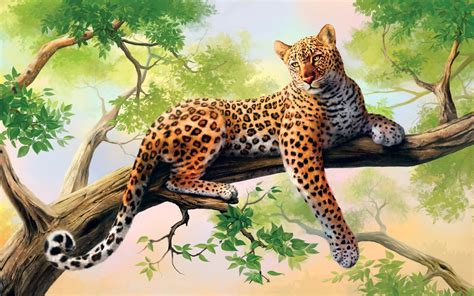leopard wallpaper  pictures