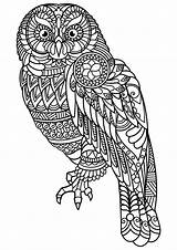 Coloring Pages Animal Adult Pdf Mandala Owl Printable Colouring Adults Sheets sketch template